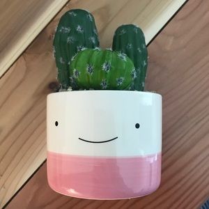 Potted cacti decor